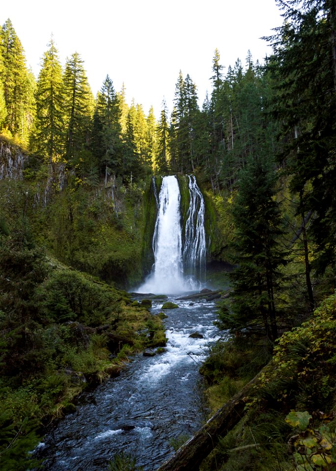 untitled-1275jpg_49364027693_o