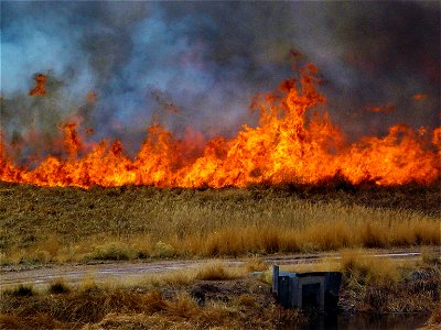 2021 BLM Fire Employee Photo Contest Winner Category: Fuels Management and Prescribed Fire photo