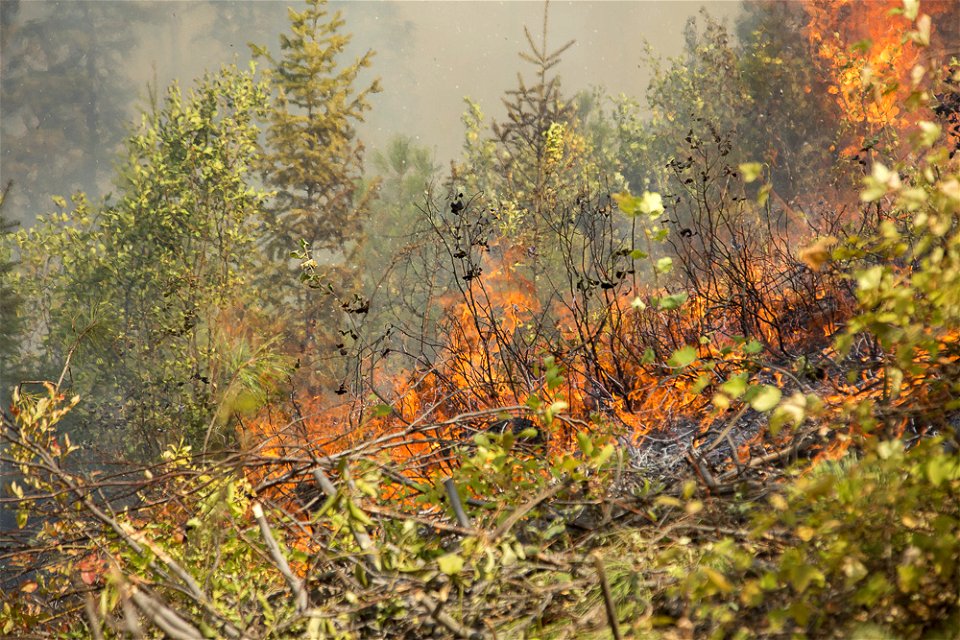 PioneerFire-Boise-July2016-004