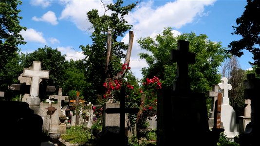 Bellu_cemetery (53) photo