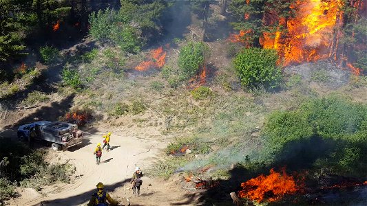 Pioneer Fire, Boise National Forest