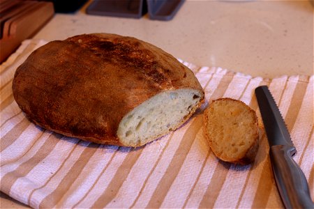Sourdough