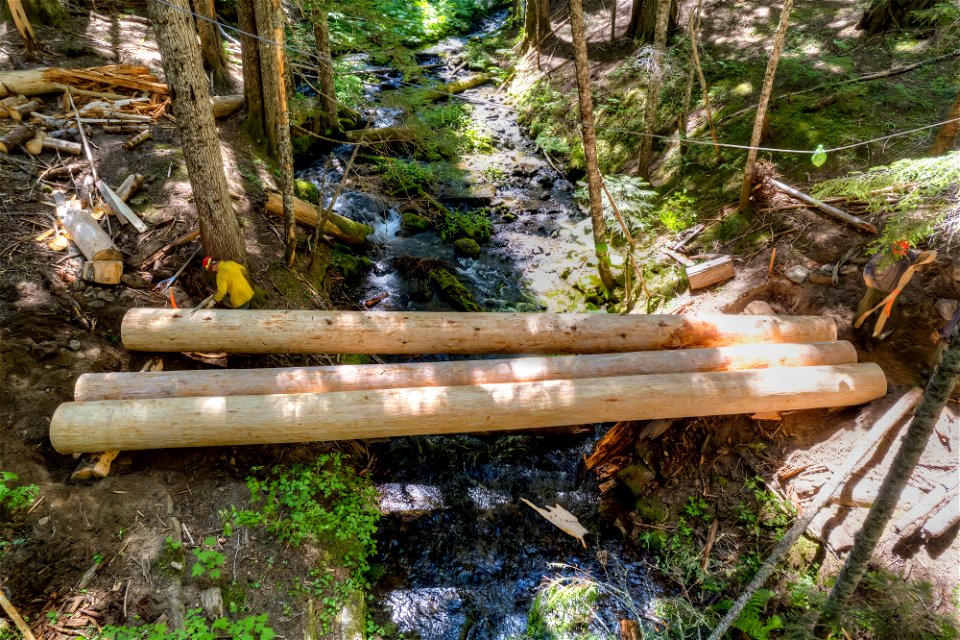 O-Gifford Pinchot Blue Lake Cr Trail-16