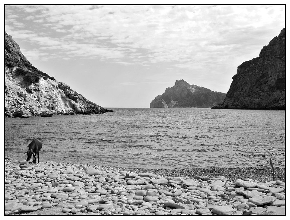 Cala Boquer photo