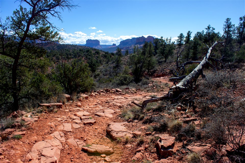 Trails: Old Post Trail