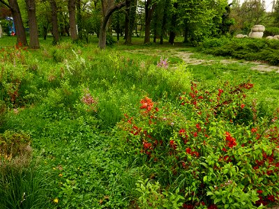 Herestrau Park in spring (31)
