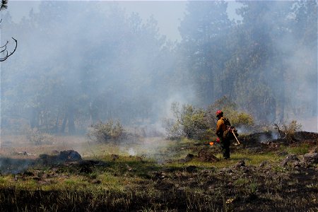 Prescribed burn on Barlow Ranger District, Mt. Hood National Forest photo