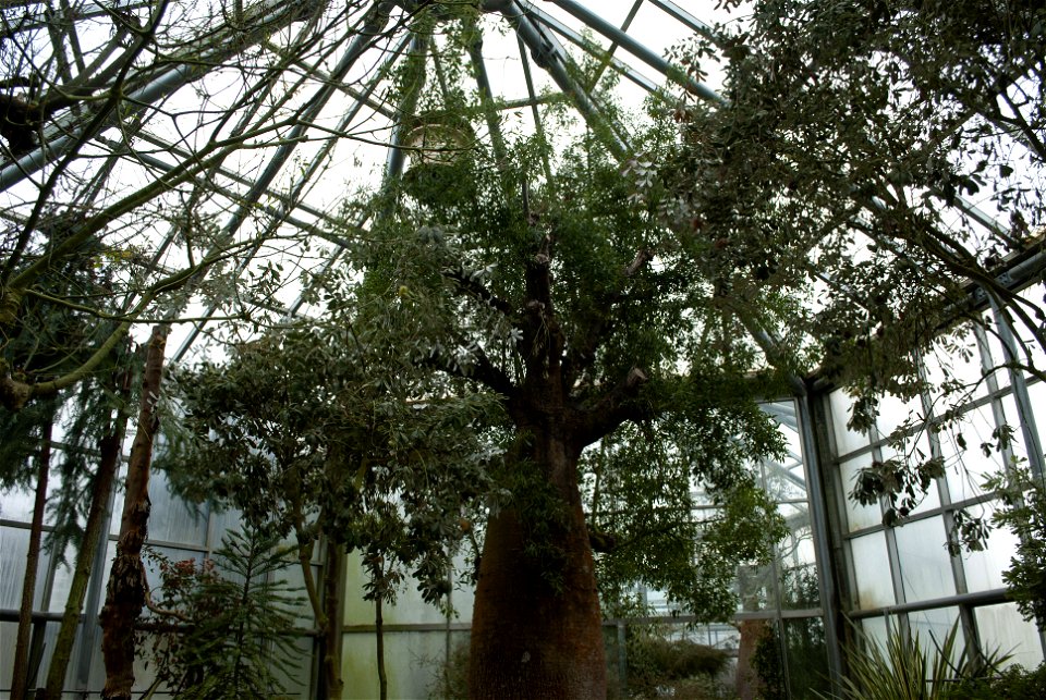 Hantaek Botanical Garden