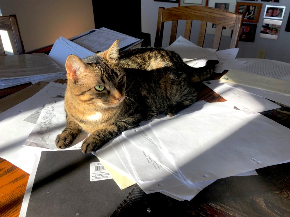I'm Here to Help Cori Grade Papers