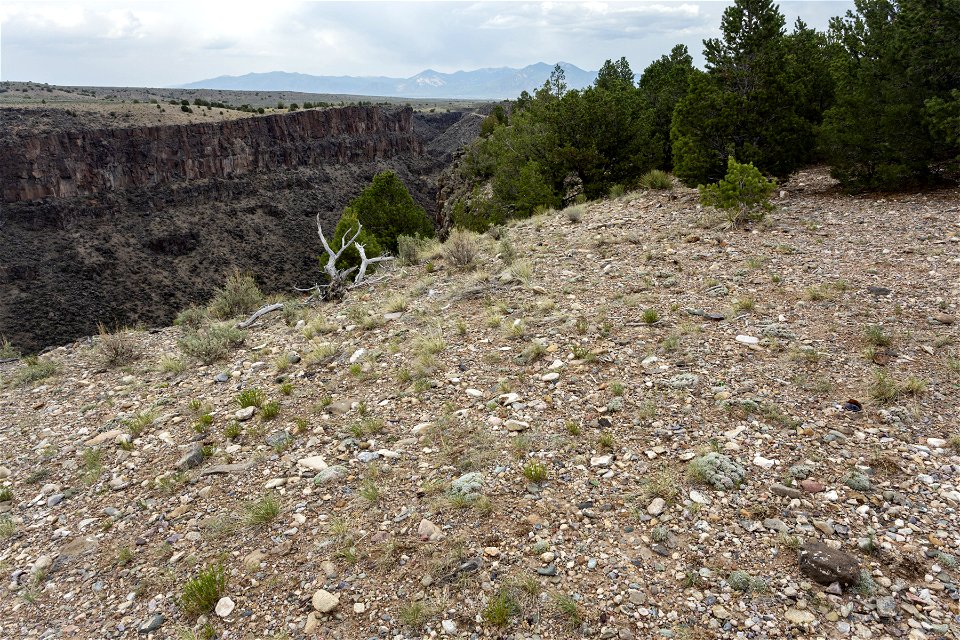 Rio Grande Canyon