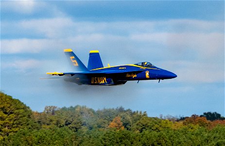 Blue Angels photo