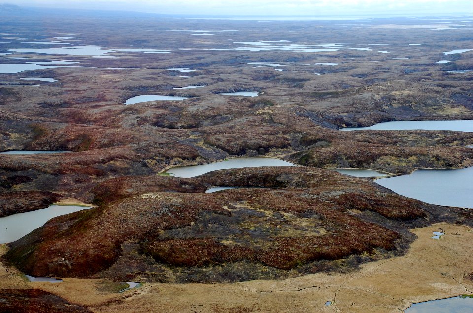 Izembek Wilderness photo