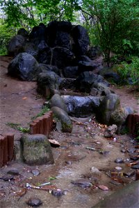 japanes_garden_rain_Herastrau (16)