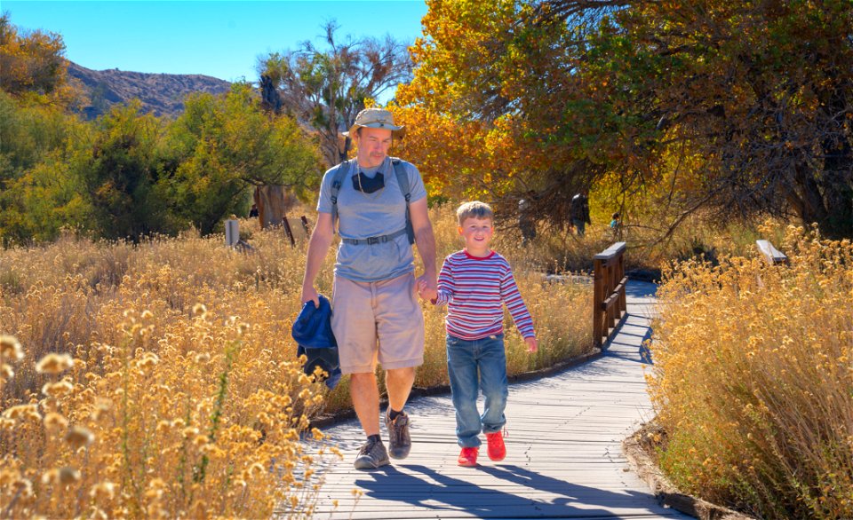 Big Morongo Canyon Preserve photo