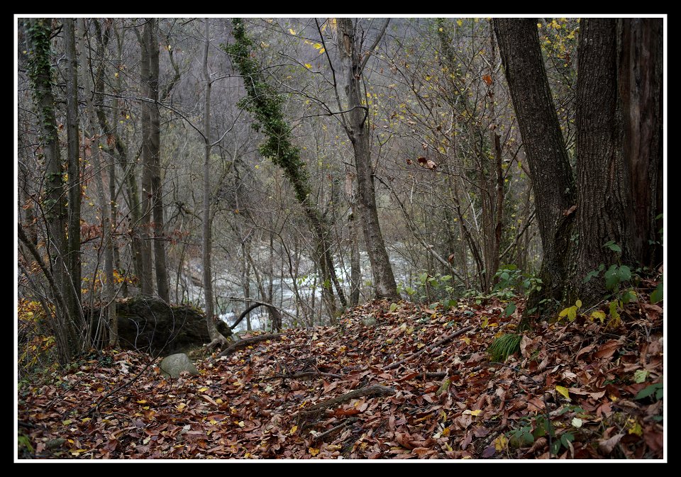 near the river