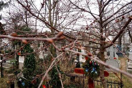 cimit_SfVineri2023_0225_140618