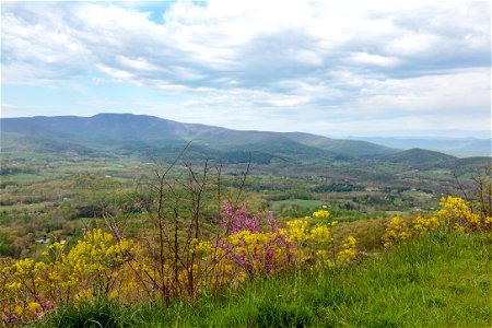 Early Spring at Gooney Manor Overlook