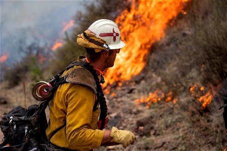 Gila Hotshot, Doagy Fire photo