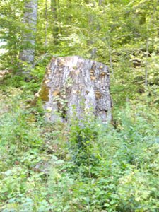 Manastirea_Sihastria2015_0809_105420