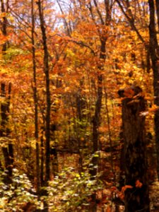 20210928-FS-Superior-SAR-017