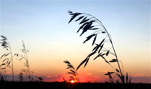 Gently Ending the Day
