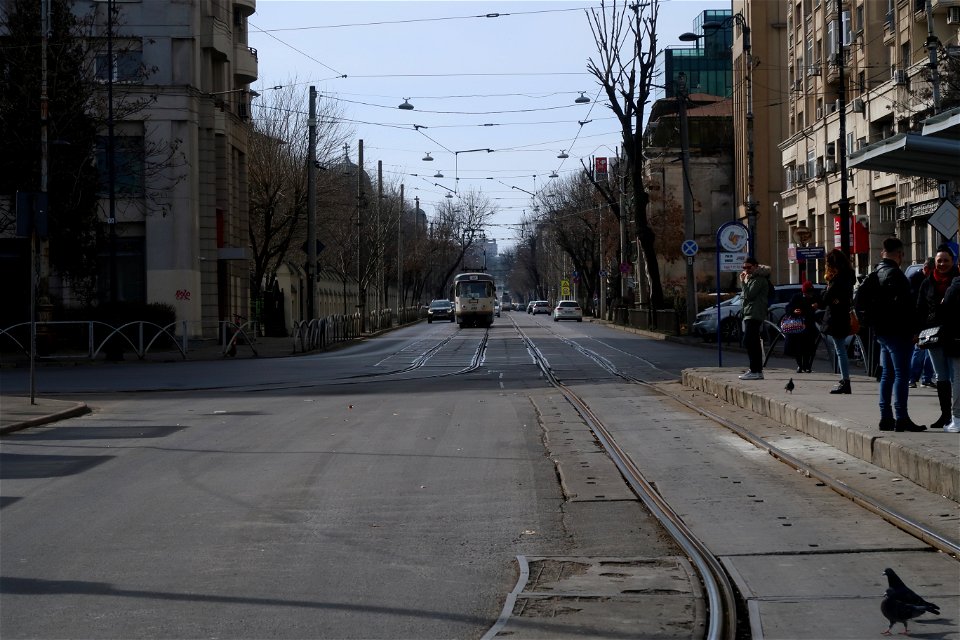 trams_TATRA_2023_0219_130847(1)