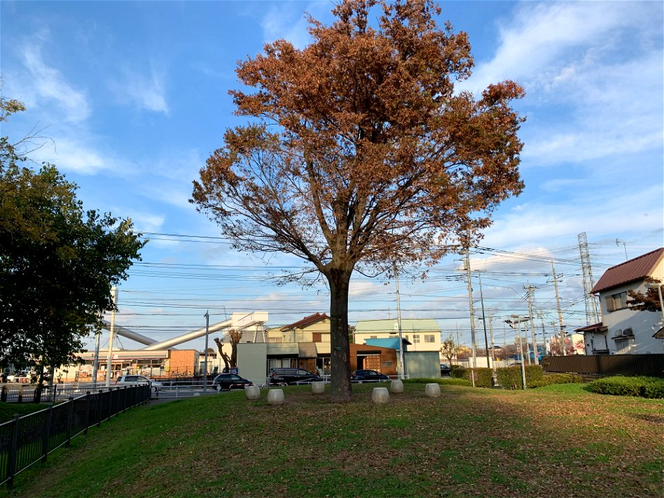 Shinyama Waterside Plaza in Higashikurume-shi