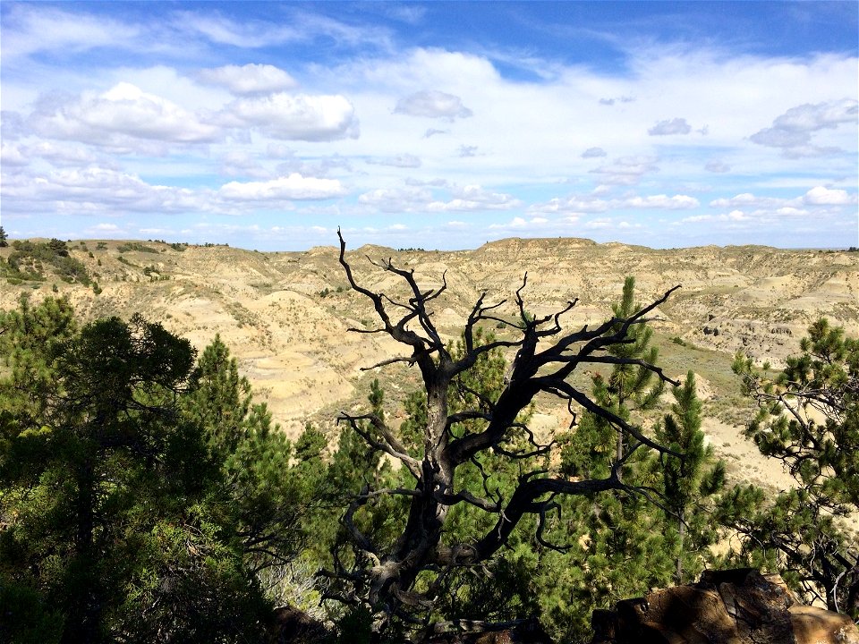 Hell Creek