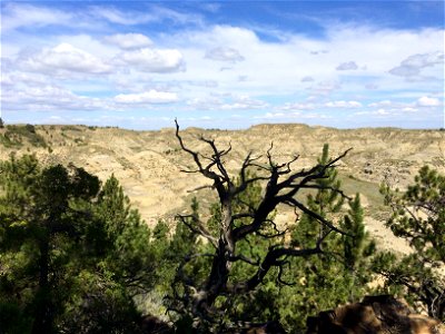 Hell Creek
