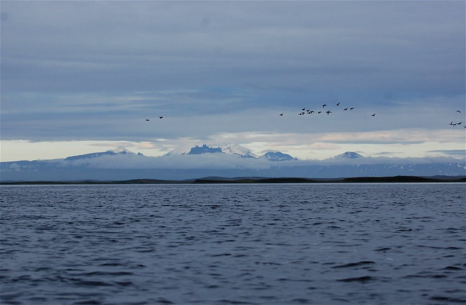 View of Volcanoes from Izembek Lagoon