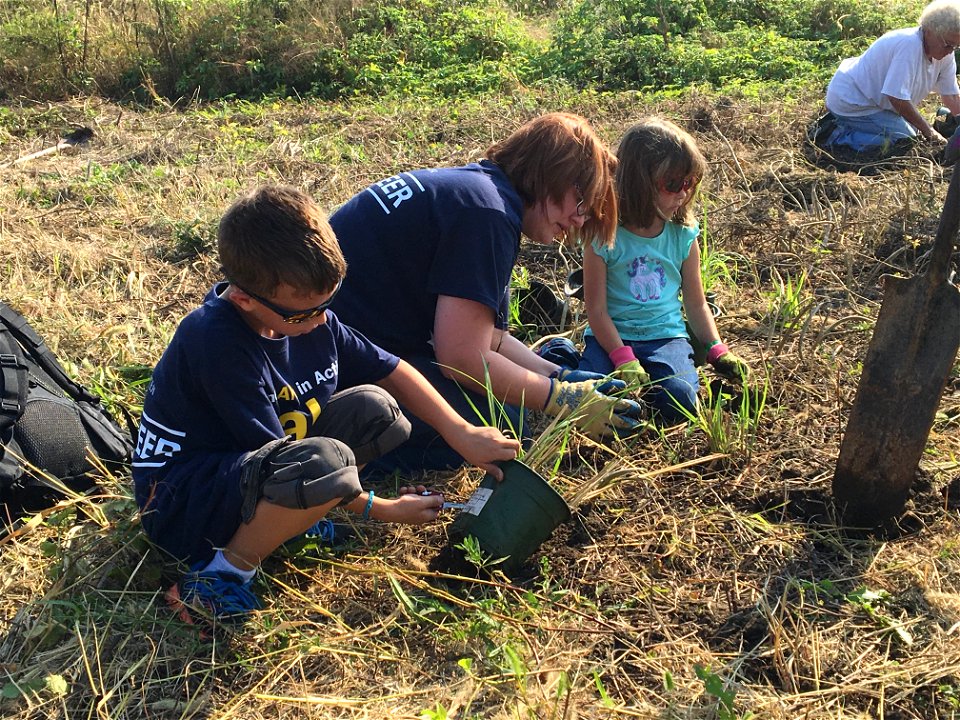 Volunteers Assist With Planting photo