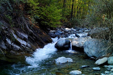 River scene photo