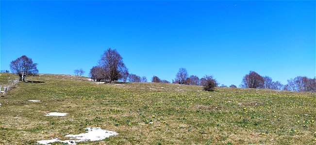 IMG_20210408_150731