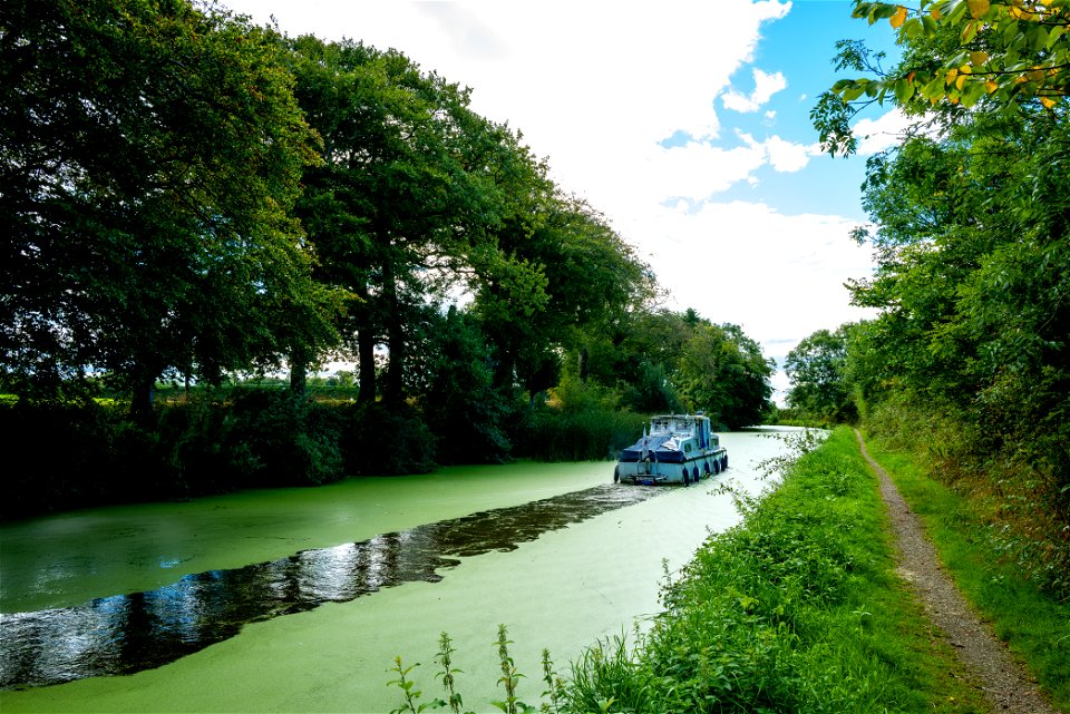 Duck Weed Canal (2 of 2)