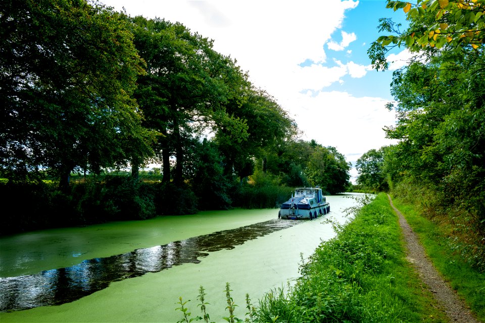 Duck Weed Canal (2 of 2) photo