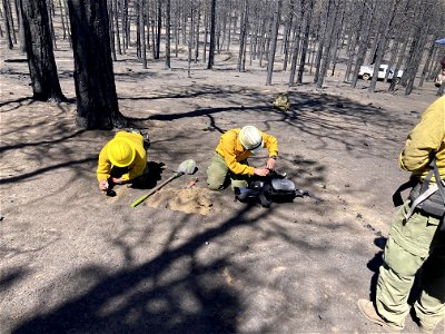 TunnelFireBAER_20220430_danboneandrobballardassessburnseverityinmoderateburnseverityareawestofSunsetcraterNMnearFR414_DickFleishman