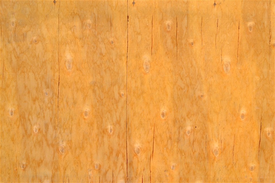 Texture