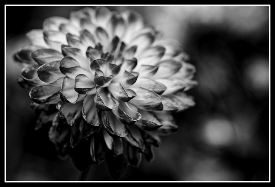 End of season