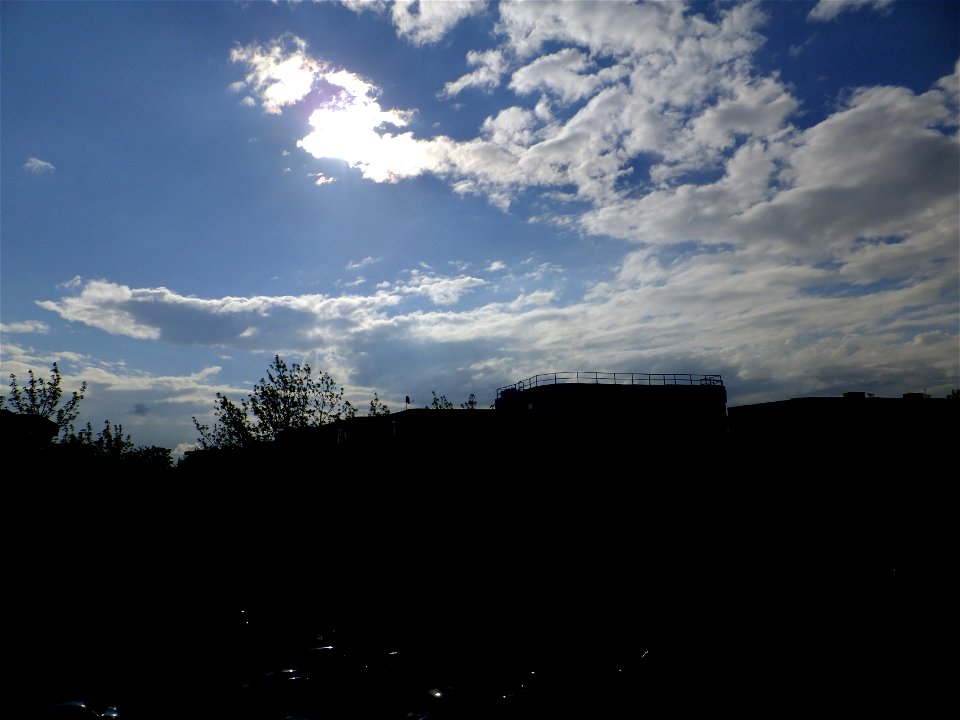nori-sediu2015_0421_083148