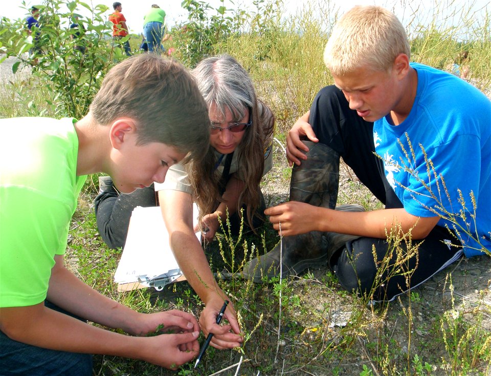 2014_Fairbanks_FWFO_Jack and Michael at brown down plots