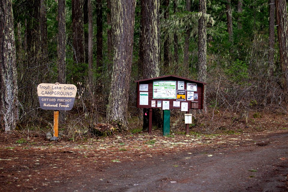 202304-Trout Lake Creek Campground by Amanda Brewer