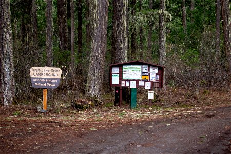 202304-Trout Lake Creek Campground by Amanda Brewer