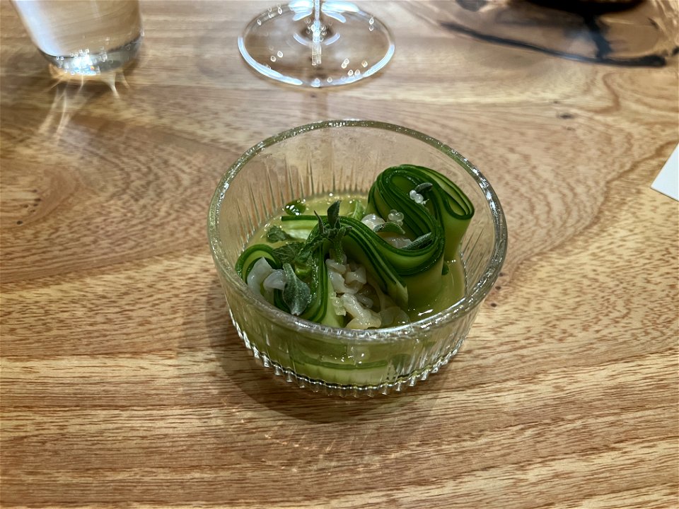 Giant Claim, Cucumbers and Coastal Succulents