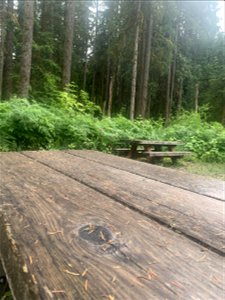 Old Sauk Picnic Area, Mt. Baker-Snoqualmie National Forest. Photo by Sydney Corral July 7, 2021