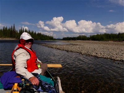 R7 Kanuti NWR Volunteer Kim helps biologists on South Fork Koyukuk River photo