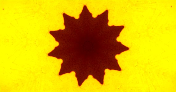 Kaleidoscope211210152739