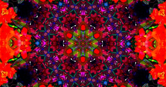 Kaleidoscope221230194219
