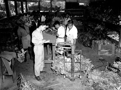 SC 405105 - Quartermaster Cooperative Market, Eastern Area, Vegetable Room.