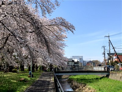 Kurome River in Saiwaicho, Higashikurume-shi photo