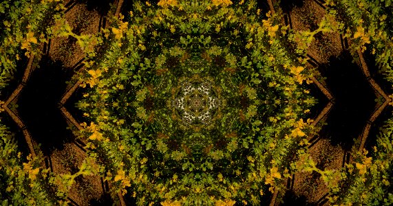 Kaleidoscope211210153347